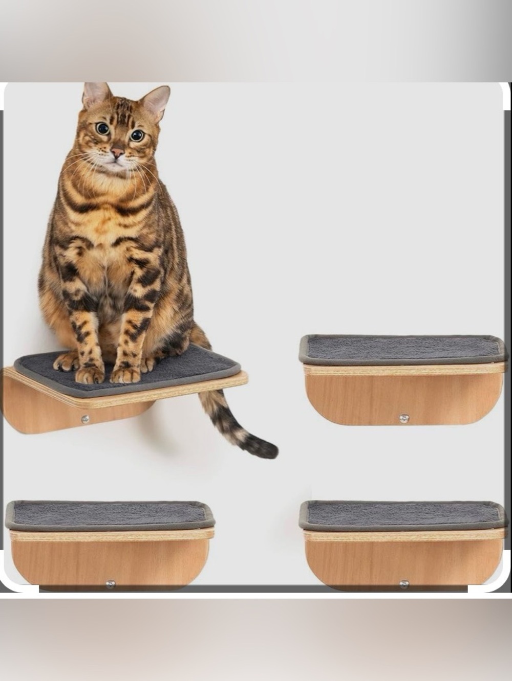 SOJILET Modern Cat Wall Shelves And Steps - Natural Wood